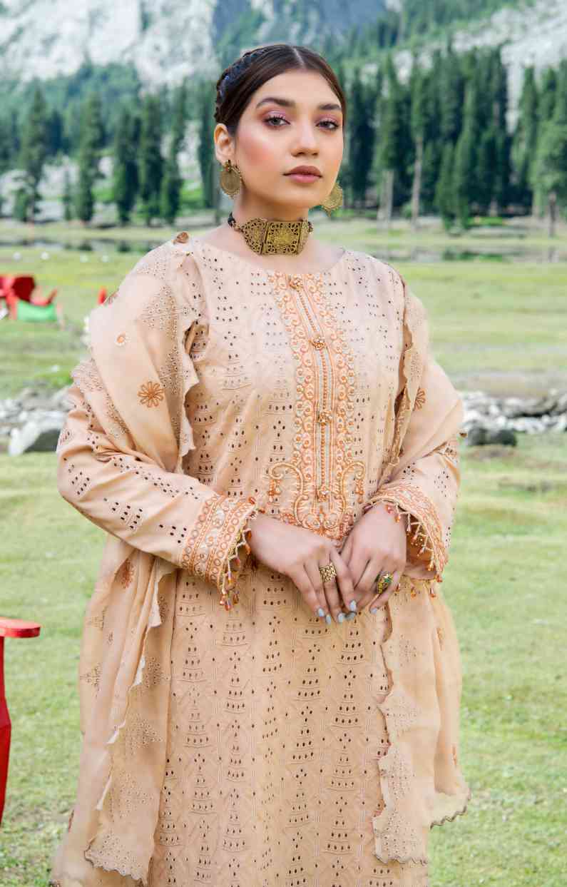 Indian Traditional Mans kurta Dress chicken curry silk kurta pajama kurta  mans | eBay